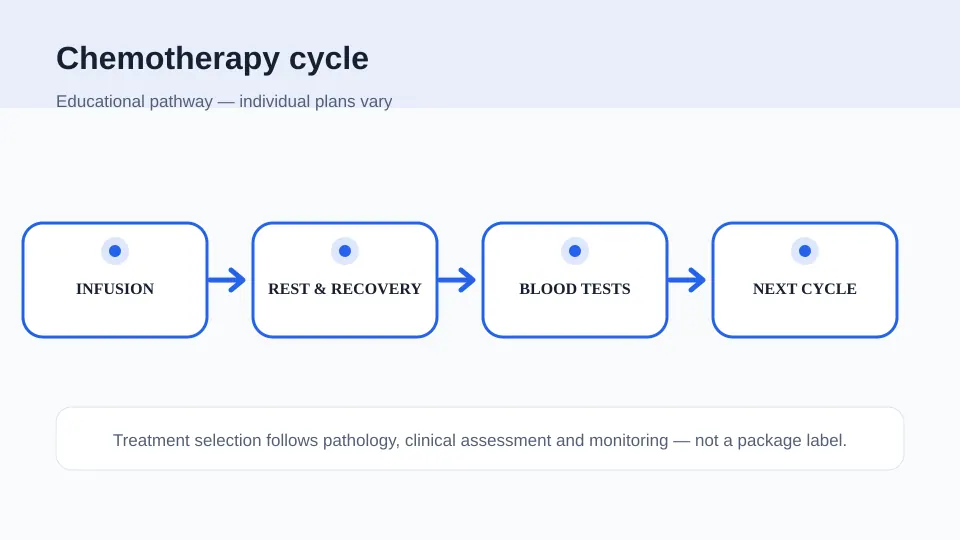 Medical illustration showing a general chemotherapy cycle from infusion through recovery, blood tests and the next cycle