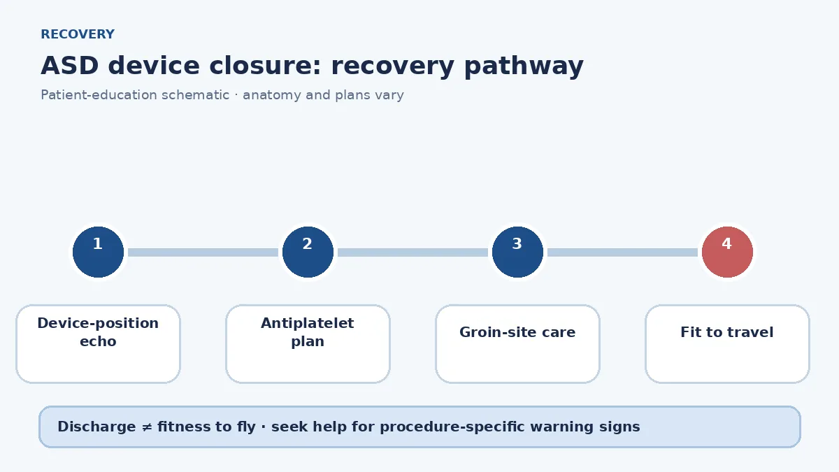 ASD device-closure recovery pathway showing echo checks, antiplatelet therapy, groin care and travel clearance