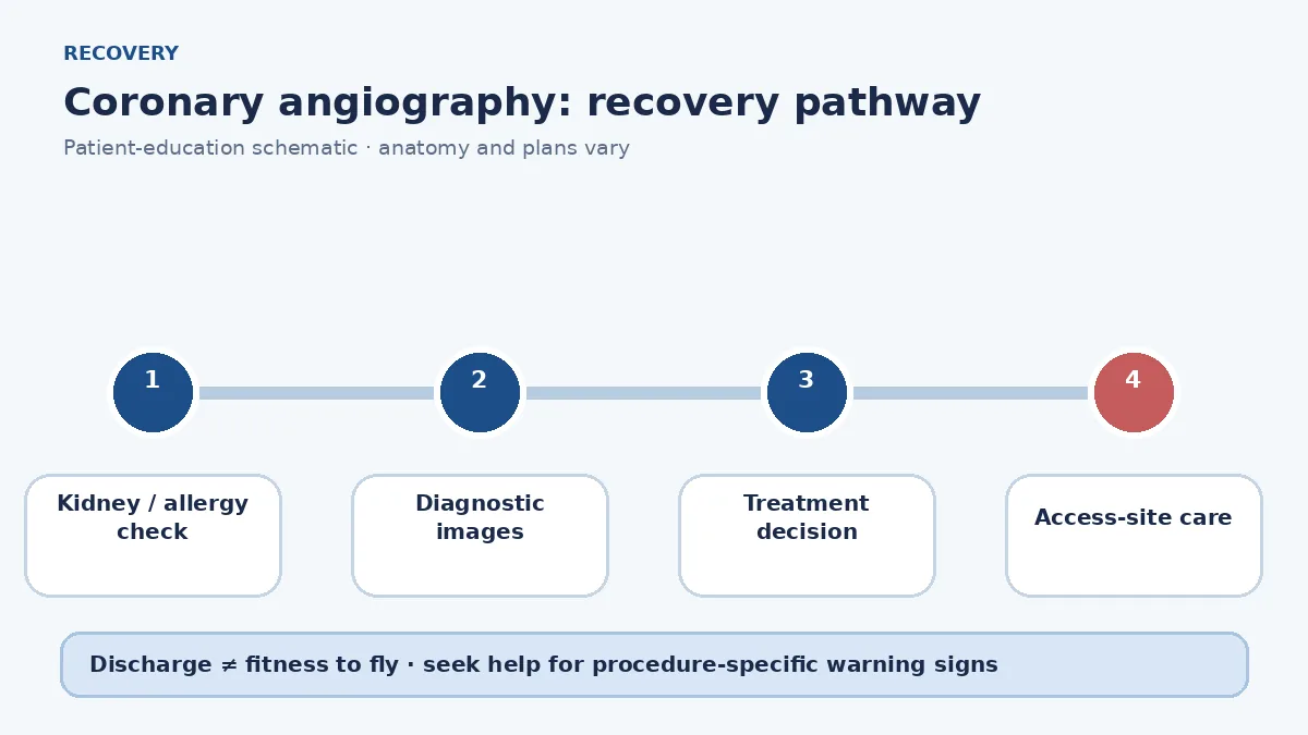 Coronary angiography pathway from records and kidney review through imaging, treatment decision and puncture-site recovery