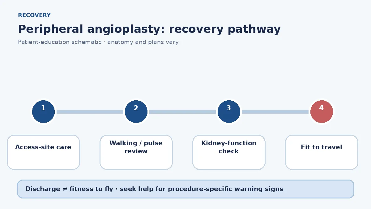 Peripheral angioplasty recovery pathway showing access-site care, walking review, kidney checks and travel clearance