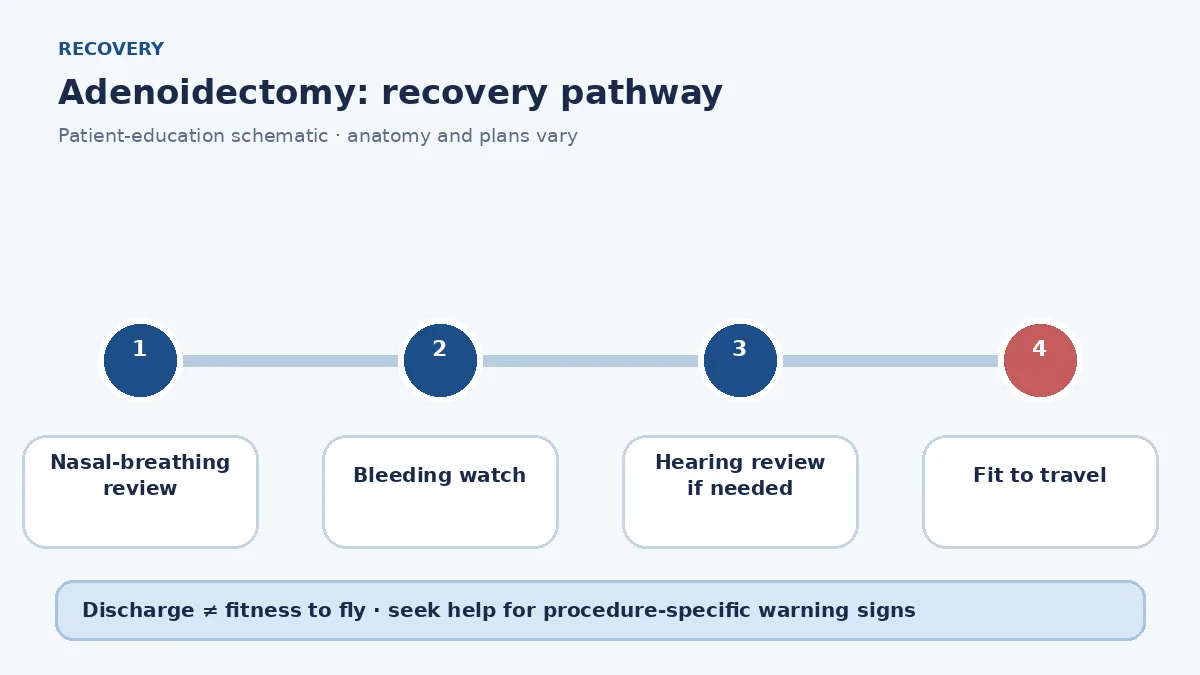 Adenoidectomy recovery pathway showing nasal-breathing review, bleeding watch and travel clearance