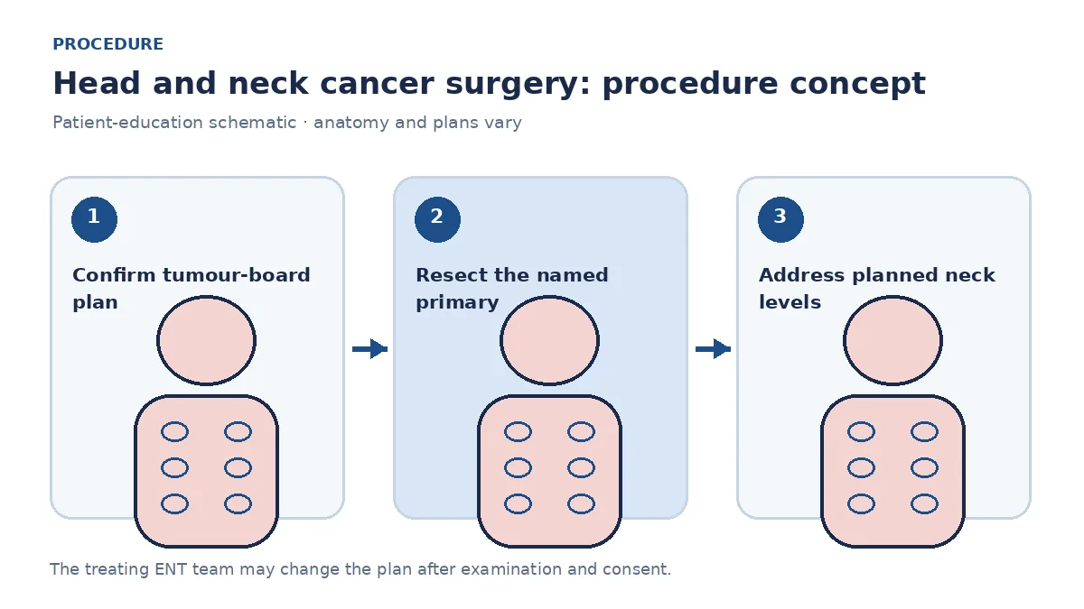 Clinical diagram of planned primary resection and neck-level clearance without implying a specific outcome