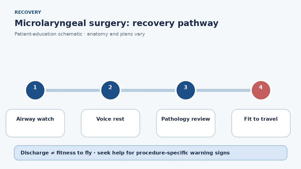 Microlaryngeal surgery recovery pathway showing airway watch, voice rest, pathology review and travel clearance