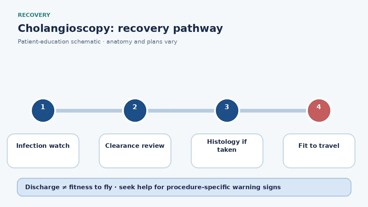 Cholangioscopy recovery pathway showing infection watch, clearance review and travel clearance