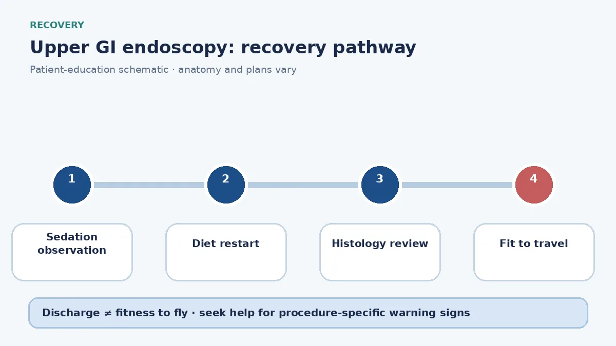 Upper GI endoscopy recovery pathway showing sedation observation, diet restart and travel clearance