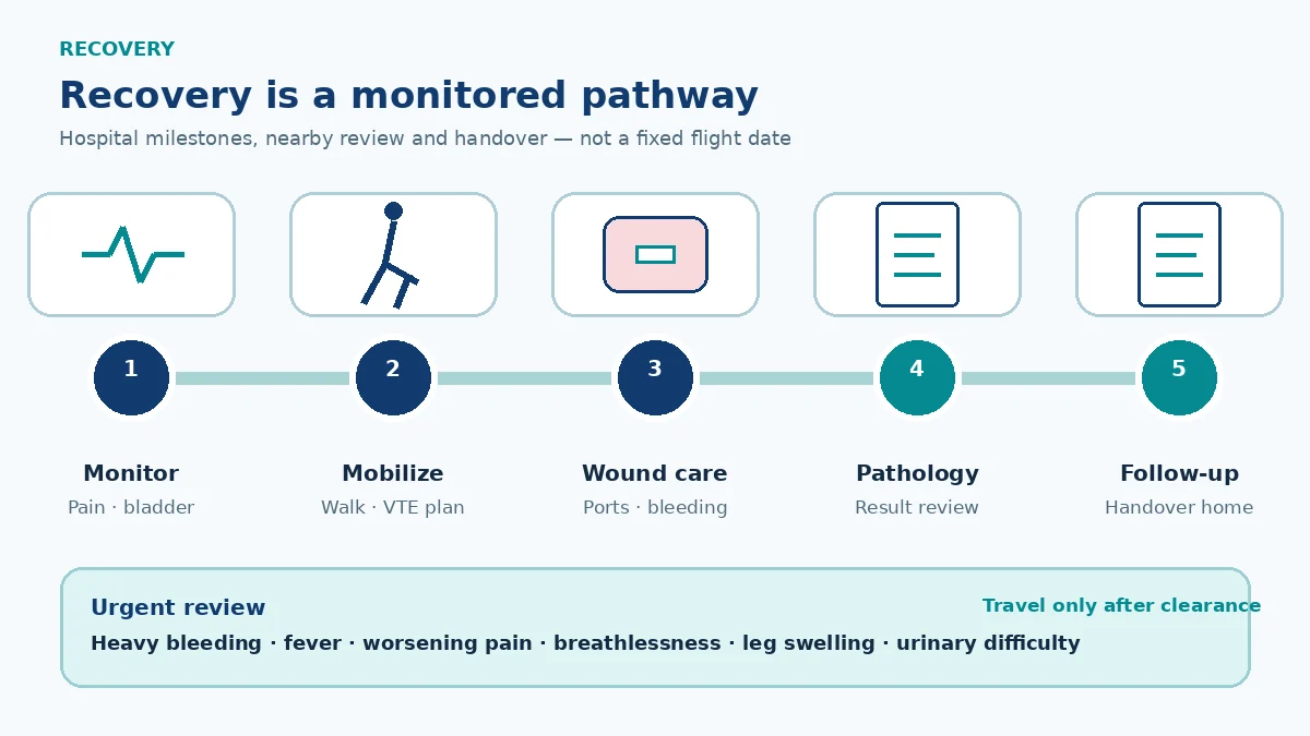 Laparoscopic hysterectomy recovery pathway showing monitored recovery, early mobility and VTE prevention, incision care, pathology review and follow-up