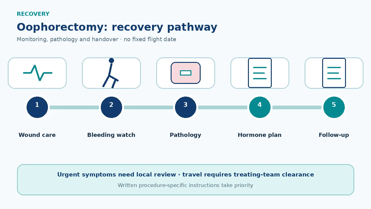 Oophorectomy recovery pathway showing wound and bleeding review, pathology, unilateral ovarian function or surgical-menopause care and follow-up