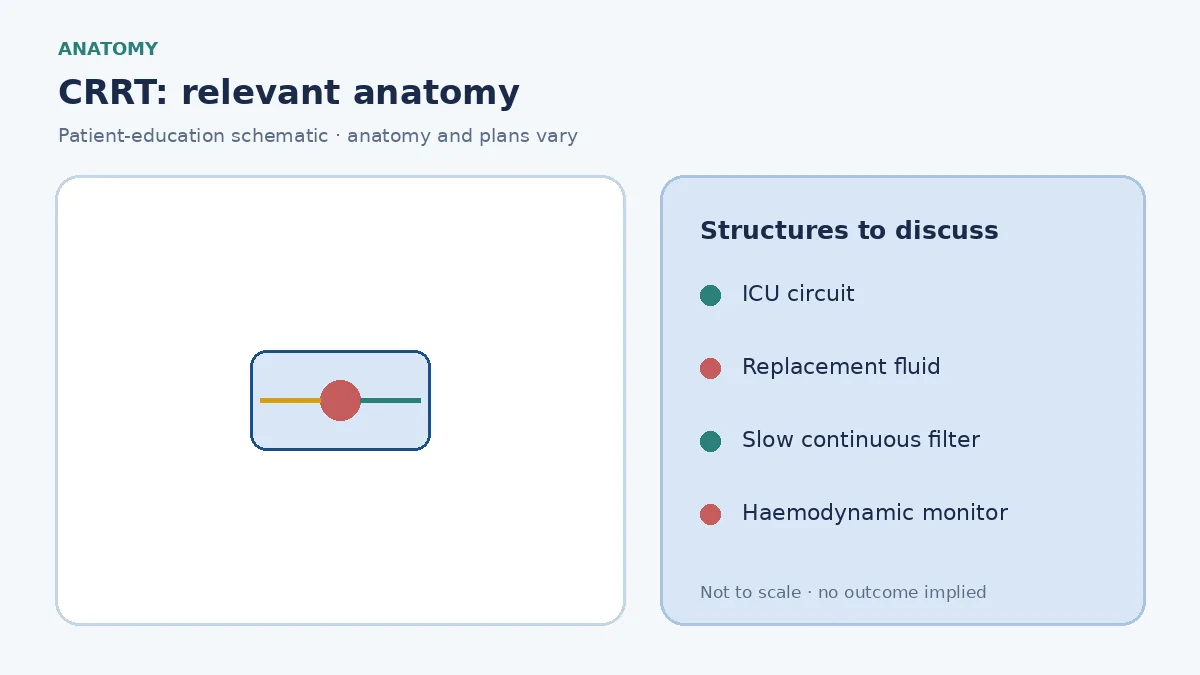 Medical infographic of CRRT showing an ICU circuit, replacement fluid and slow continuous blood purification