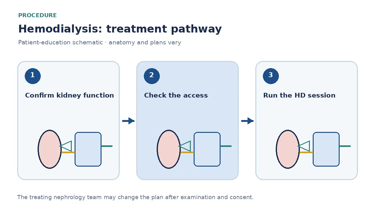 Step-by-step hemodialysis pathway showing nephrology assessment, access check, a dialysis session and laboratory monitoring