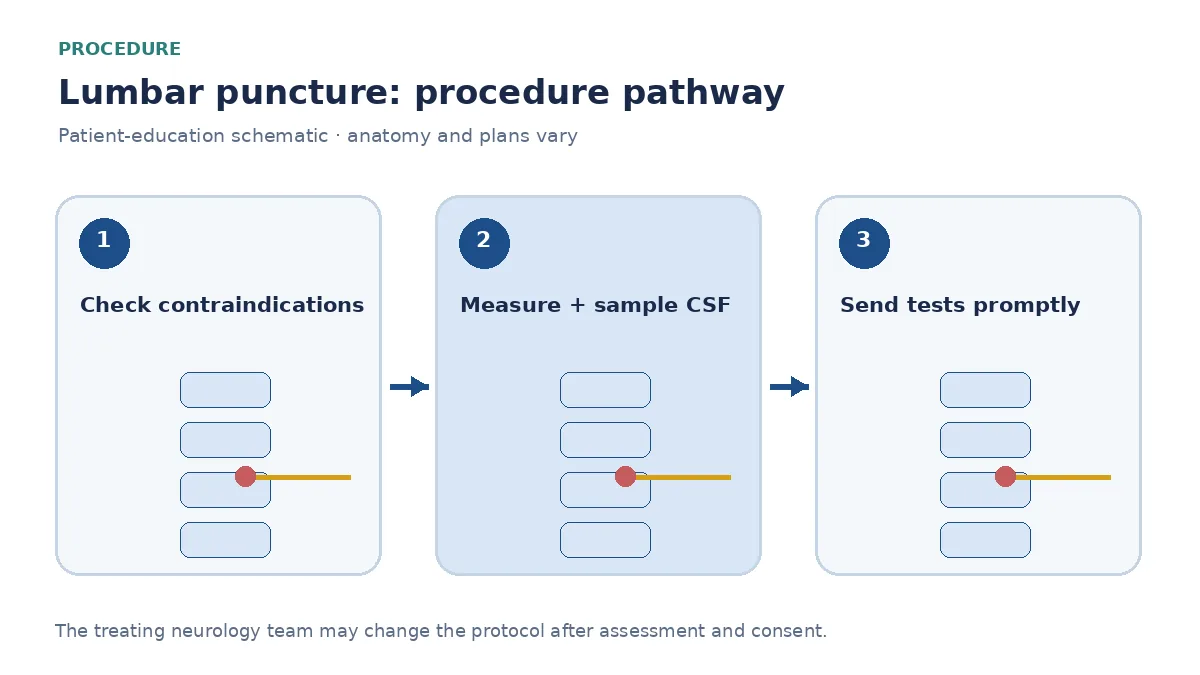 Numbered lumbar puncture pathway showing contraindication checks, sterile CSF sampling and labelled laboratory tubes