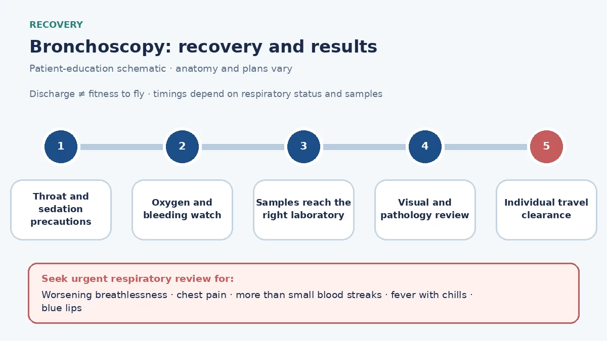Bronchoscopy recovery infographic showing throat and sedation precautions, oxygen and bleeding monitoring, specimen processing, warning symptoms, result review and individualized fitness-to-fly clearance