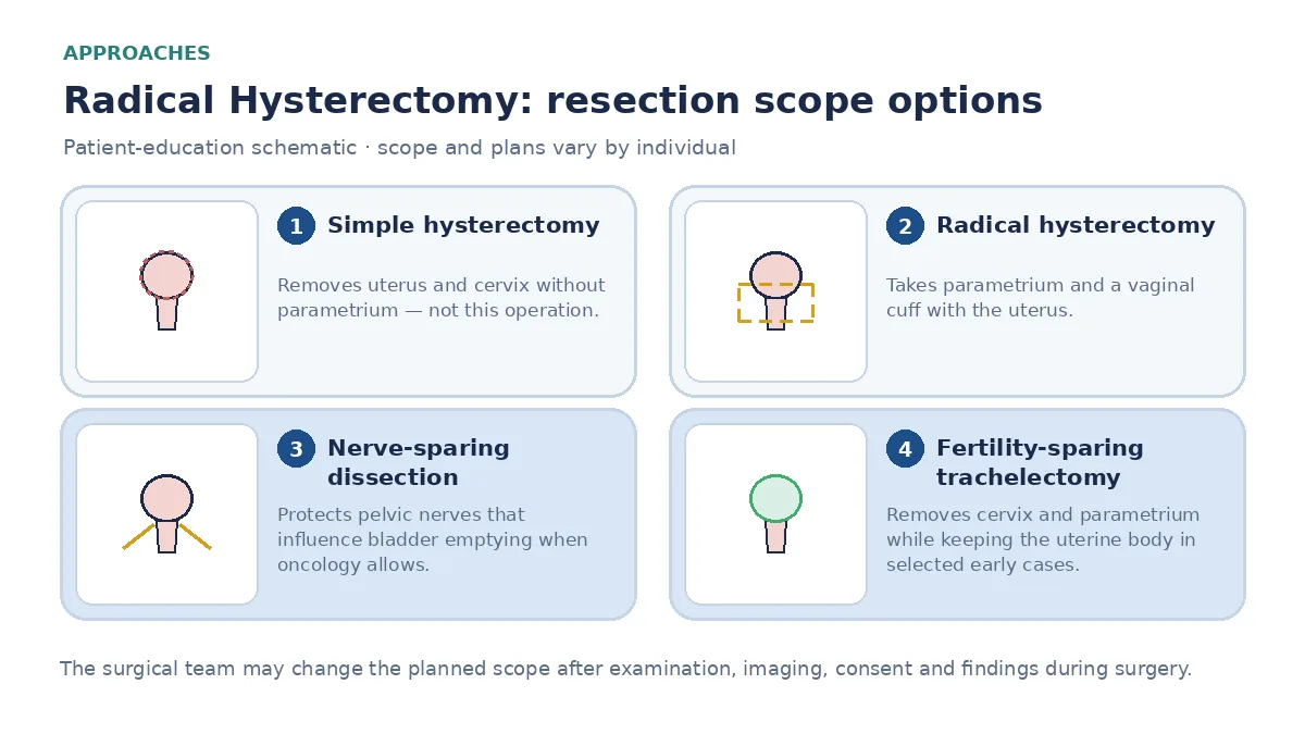 Medical infographic comparing simple hysterectomy, radical hysterectomy with parametrium and vaginal cuff, nerve-sparing dissection, and fertility-sparing trachelectomy for selected early cervical cancer.