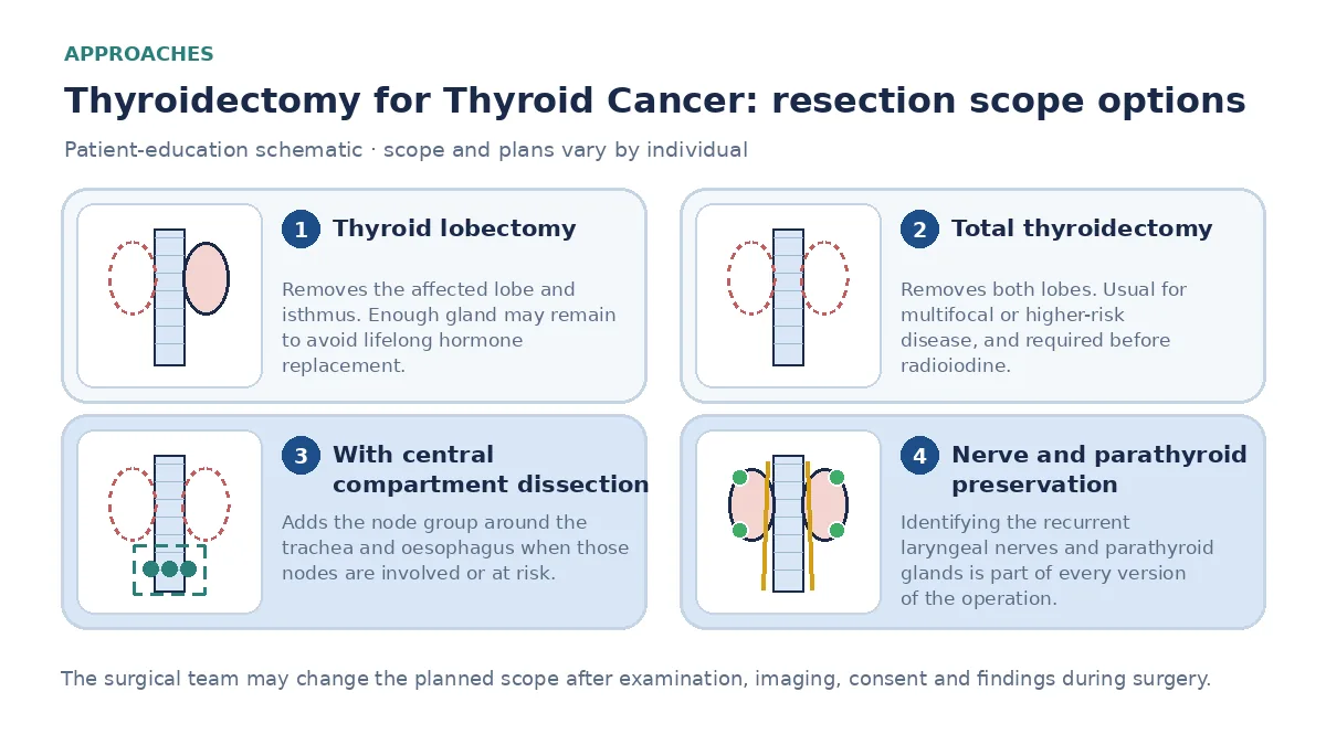 Medical infographic comparing thyroid lobectomy, total thyroidectomy and total thyroidectomy with central compartment node dissection, noting nerve and parathyroid preservation as part of each operation.