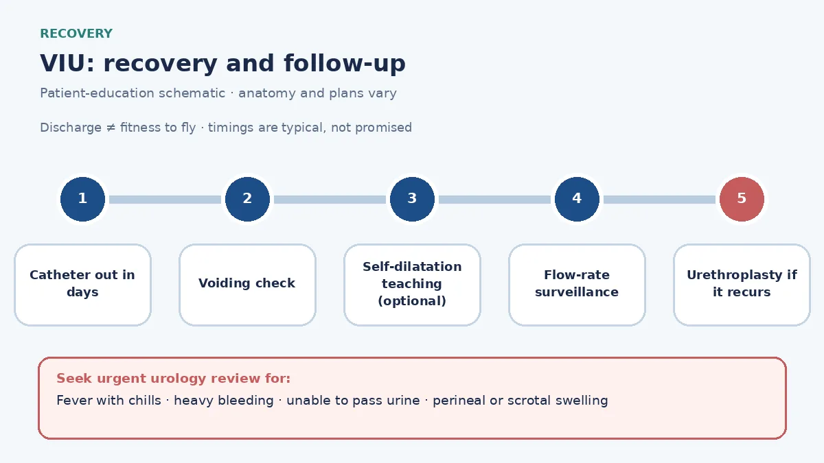 VIU recovery pathway infographic showing catheter removal within days, voiding check, optional self-dilatation teaching, flow-rate surveillance and the plan for urethroplasty if the stricture recurs