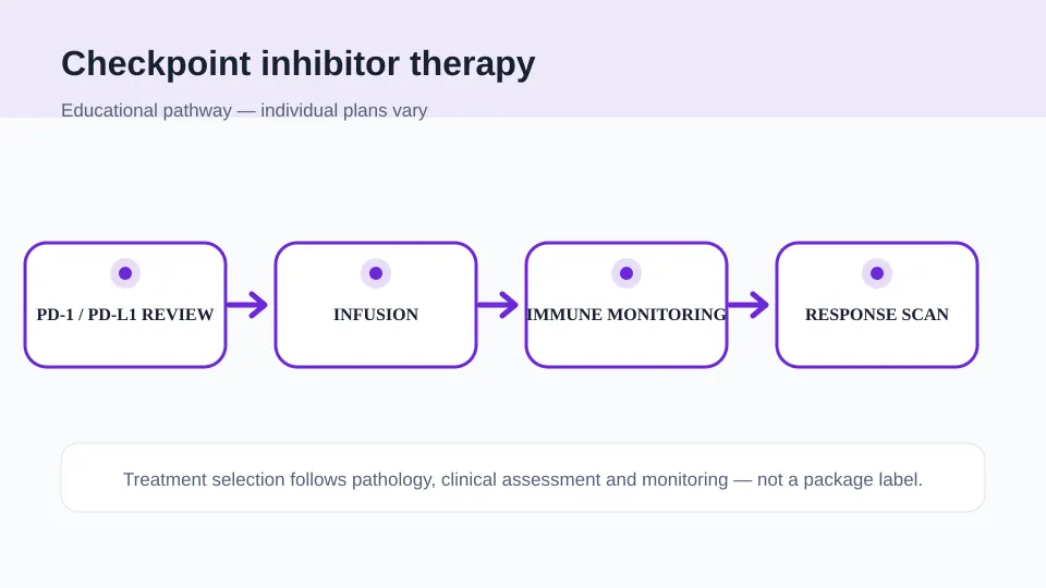 Medical illustration showing checkpoint biomarker review, infusion, immune-toxicity monitoring and response scanning