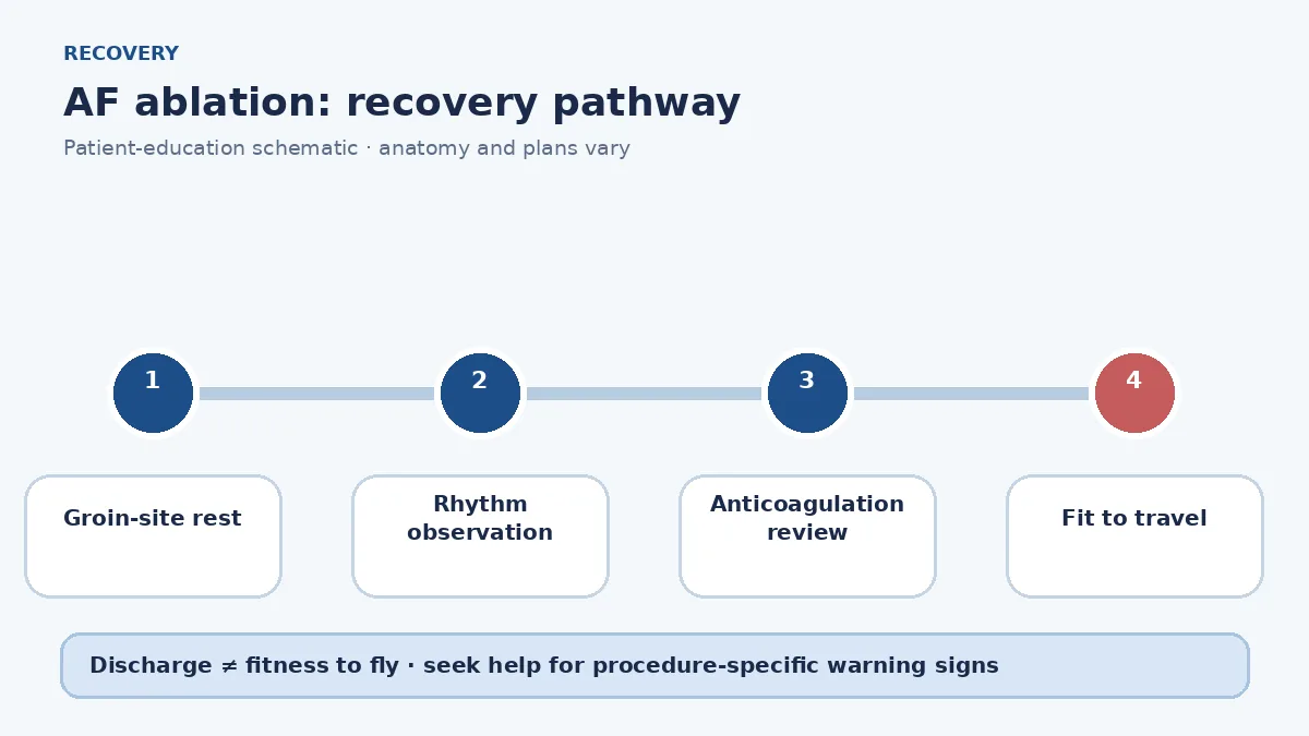 AF ablation recovery pathway showing groin care, rhythm monitoring, anticoagulation review and travel clearance