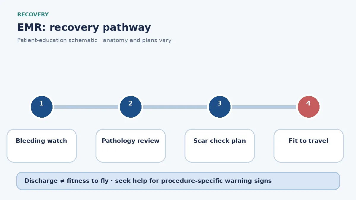 EMR recovery pathway showing bleeding watch, pathology review and travel clearance