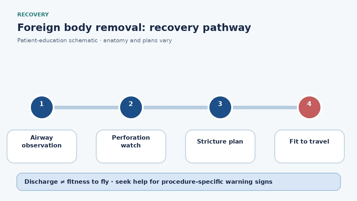Foreign-body recovery pathway showing airway observation, perforation watch and travel clearance