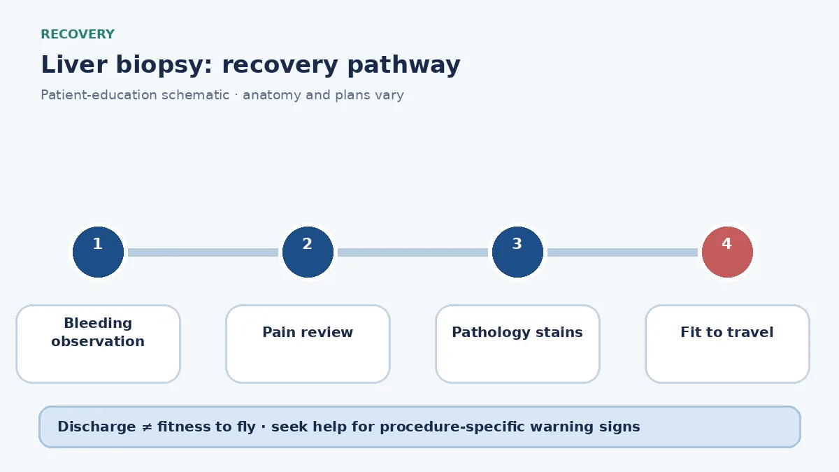 Liver-biopsy recovery pathway showing observation for bleeding, pathology review and travel clearance