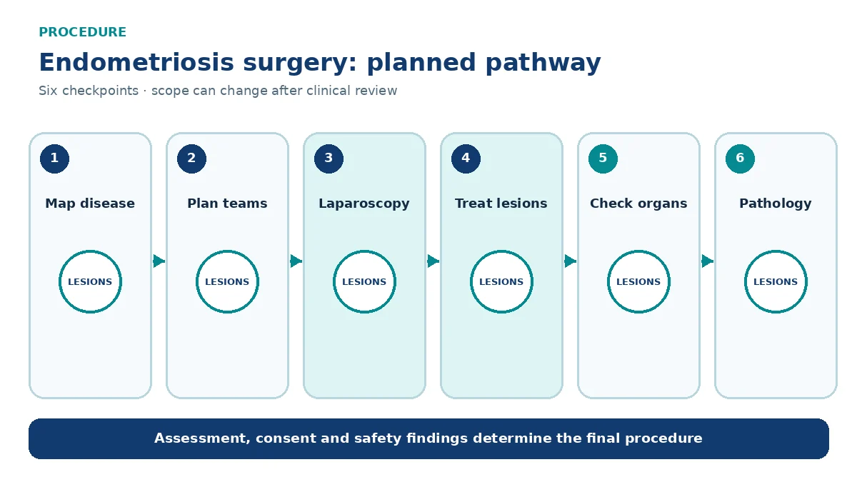 Numbered endometriosis surgery pathway showing mapping, multidisciplinary planning, laparoscopy, lesion treatment, organ checks and pathology