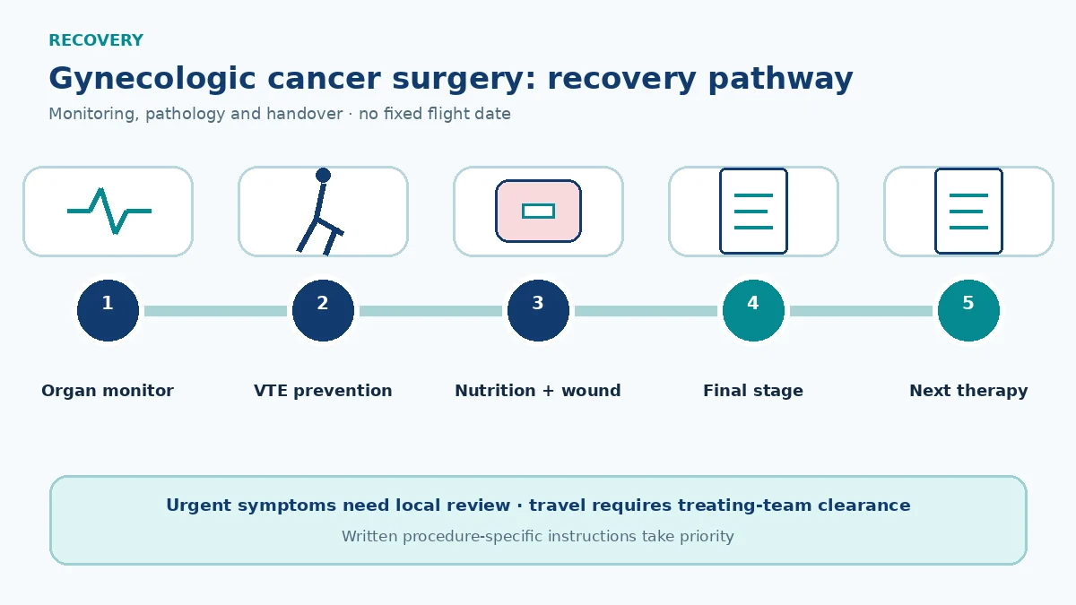 Gynecologic cancer surgery recovery pathway showing organ and VTE monitoring, wound and nutrition care, final stage review and additional therapy planning