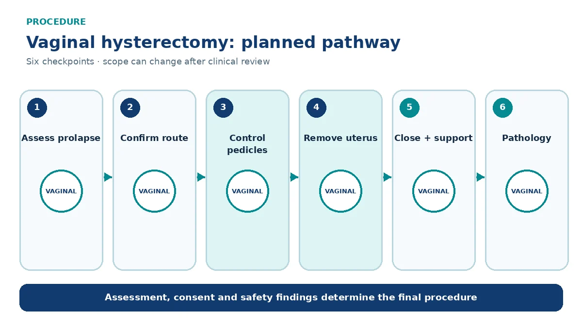 Numbered vaginal hysterectomy pathway showing prolapse assessment, vaginal access, pedicle control, uterine removal, cuff closure and pathology