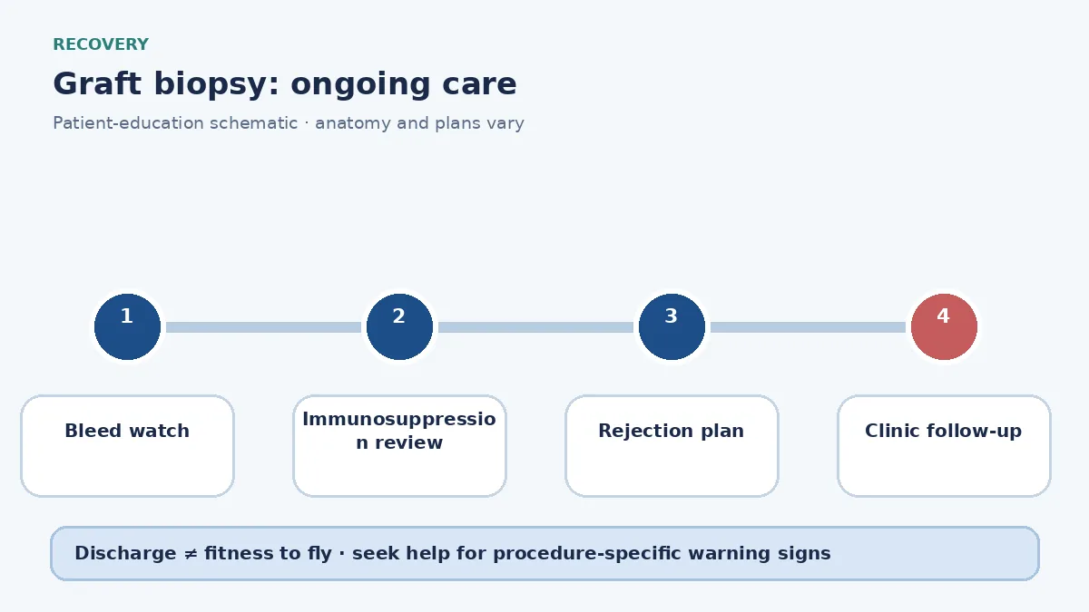 Graft-biopsy recovery pathway showing bleed watch, immunosuppression review and rejection-treatment planning