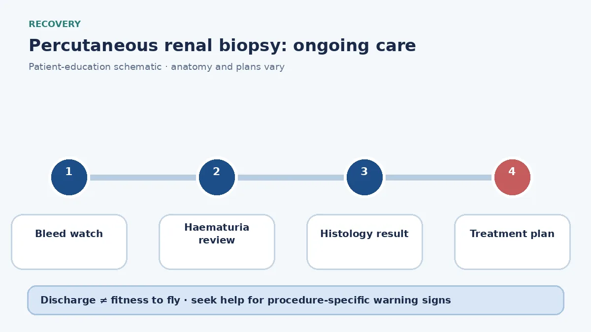 Percutaneous-renal-biopsy recovery pathway showing observation for bleeding, haematuria watch and diagnosis discussion