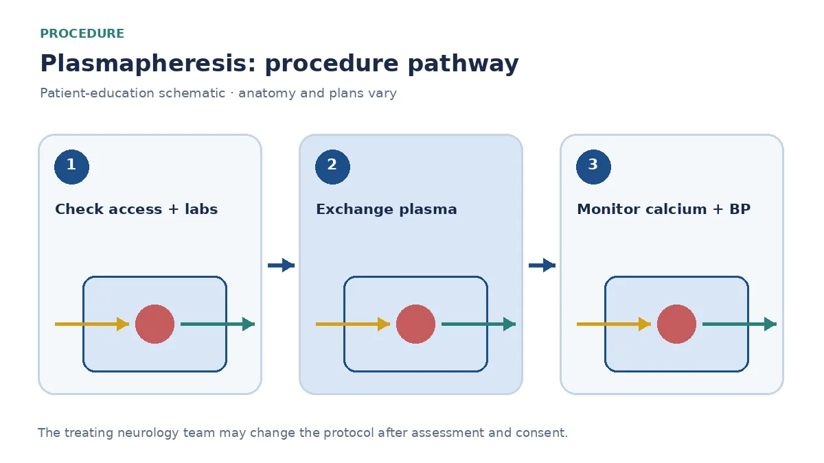 Numbered neurological plasmapheresis pathway showing access, plasma exchange and calcium and vital-sign monitoring