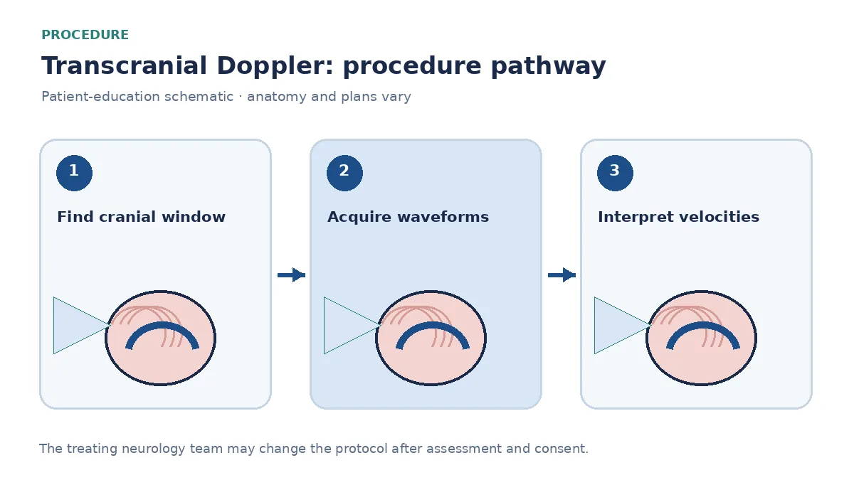 Numbered transcranial Doppler pathway showing window selection, waveform acquisition and neurovascular interpretation