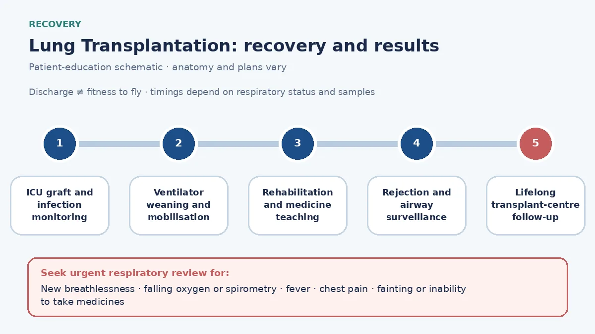 Lung-transplant recovery timeline showing ICU graft and infection monitoring, ventilator weaning, mobilization and medicine teaching, rejection and airway surveillance and lifelong transplant-centre follow-up