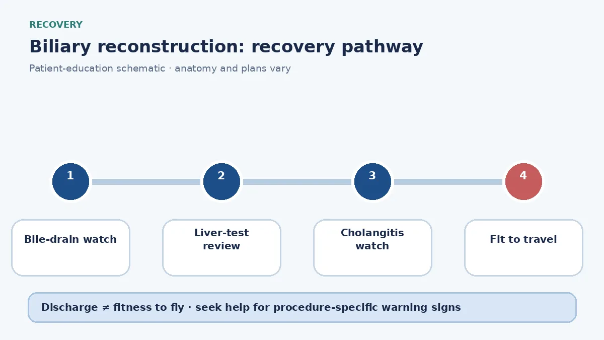 Biliary-reconstruction recovery pathway showing bile-drain monitoring, liver-test review and cholangitis watch