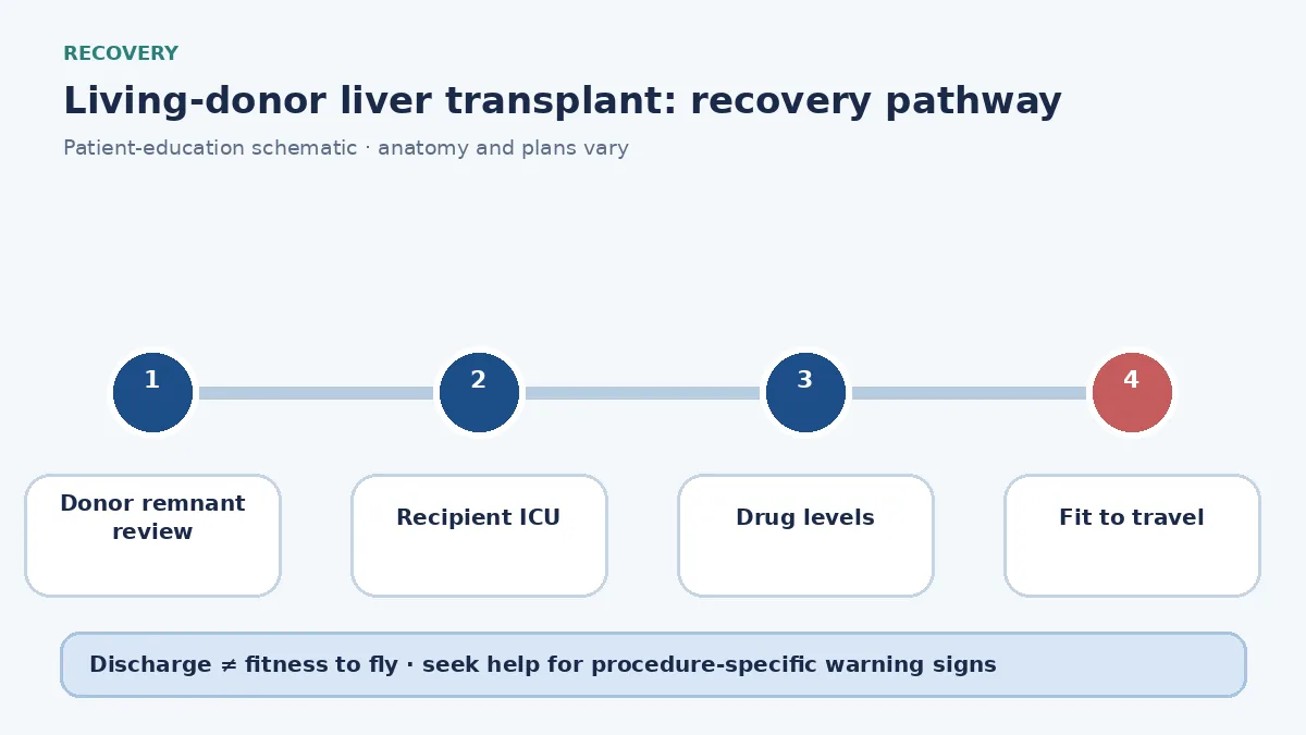 Living-donor transplant recovery pathway showing donor remnant review, recipient immunosuppression and travel clearance