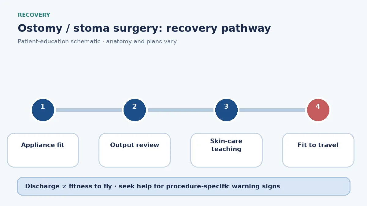 Stoma-surgery recovery pathway showing appliance teaching, skin-care review and dehydration watch
