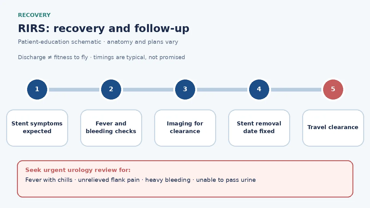 RIRS recovery pathway infographic showing stent-symptom expectations, fever and bleeding checks, imaging to confirm clearance, stent-removal date and travel clearance