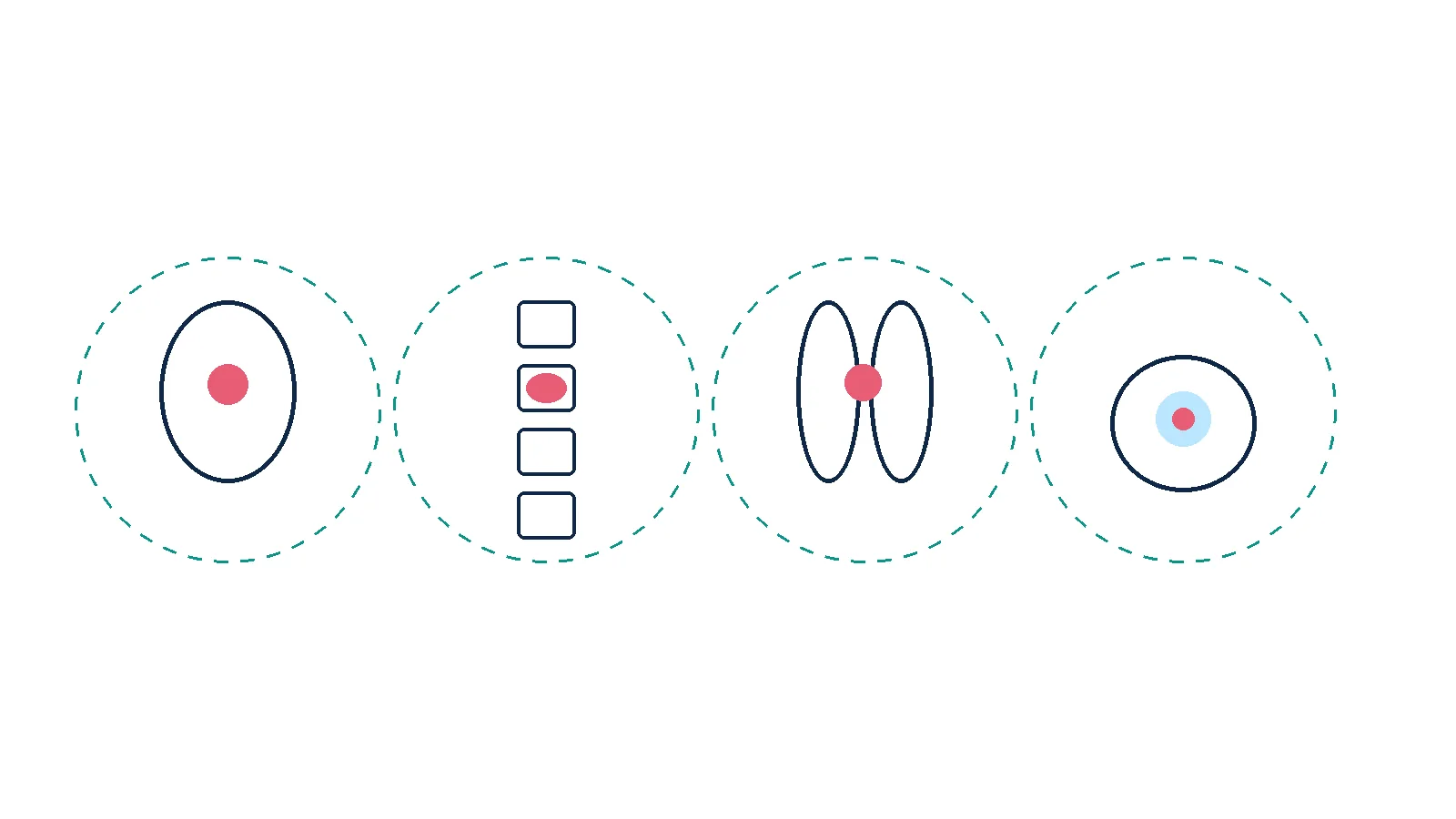 Unlabeled four-panel schematic of brain, spinal, lung and pelvic stereotactic targets